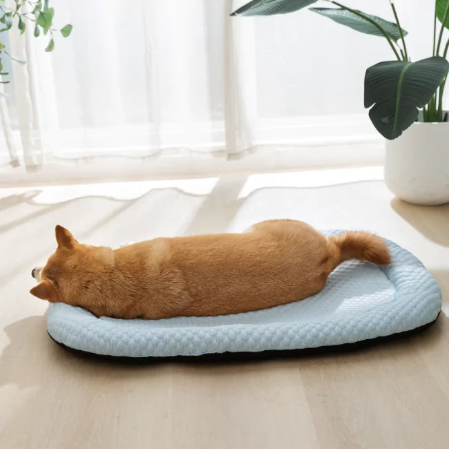 2 Pack CoolingBed + 4 Free Gifts