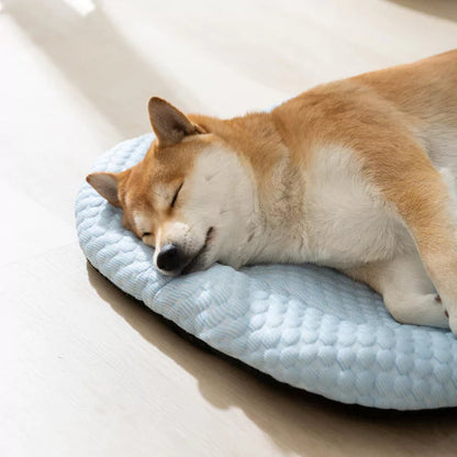 2 Pack CoolingBed + 4 Free Gifts