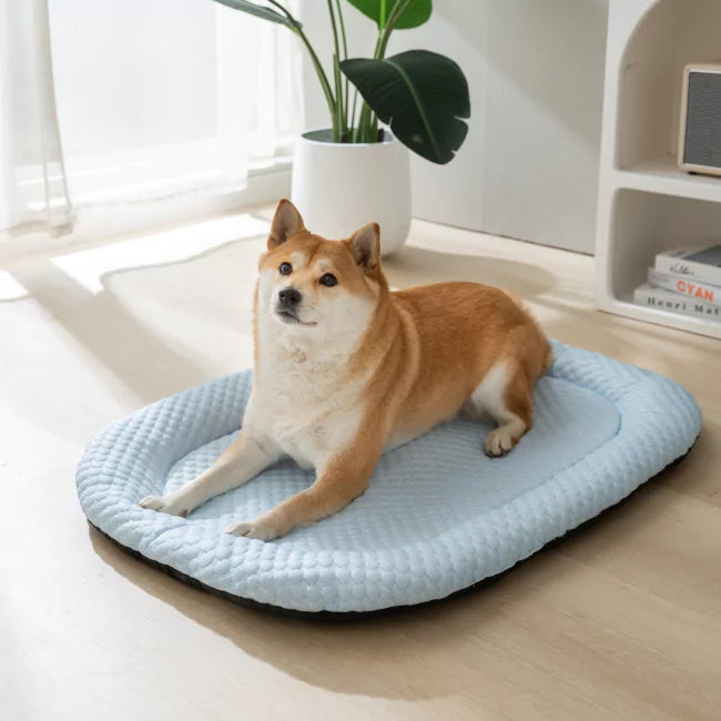 2 Pack CoolingBed + 4 Free Gifts