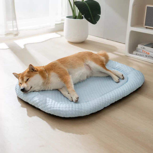 2 Pack CoolingBed + 4 Free Gifts