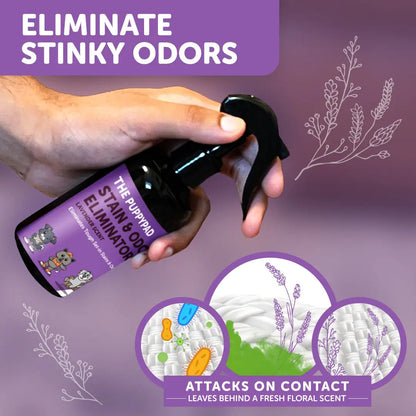 PuppyPad Stain & Odor Eliminator Spray